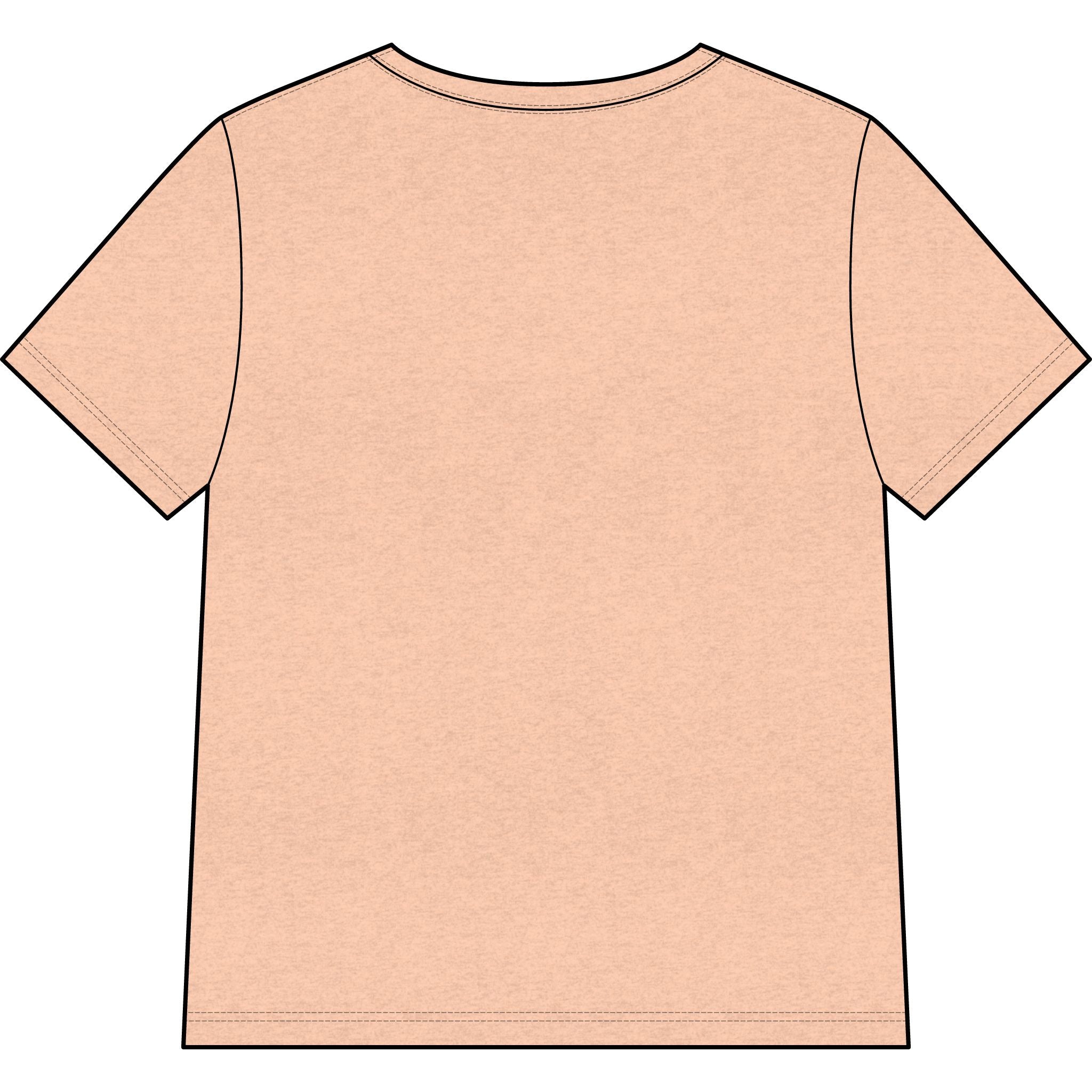 Stay Salty V-Neck Tee — "Stay Salty" Shell & Luke 14:34-35 Christian Graphic Top